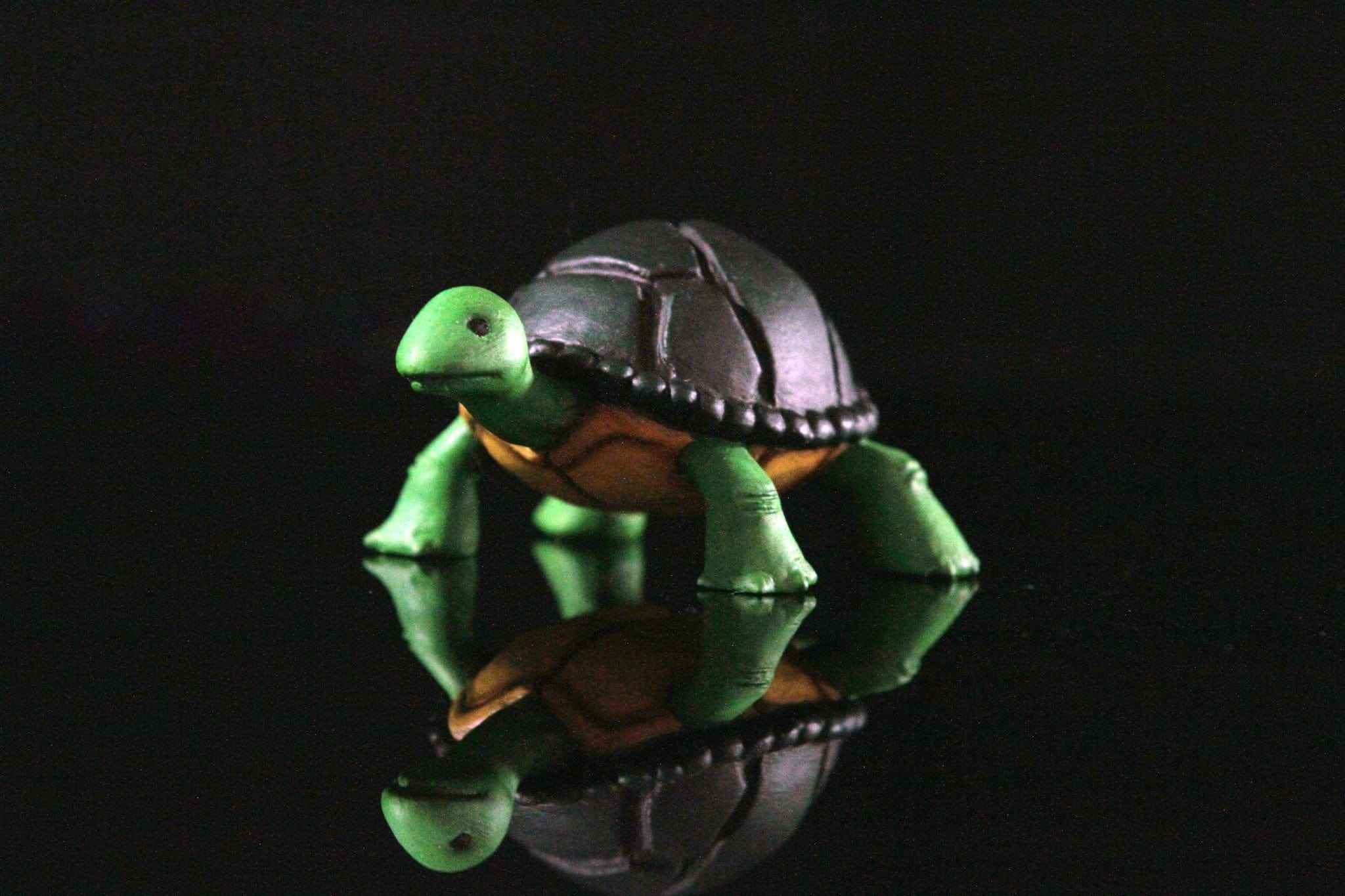 Raphael 1/6 Scale Collectible Figure - Image 22