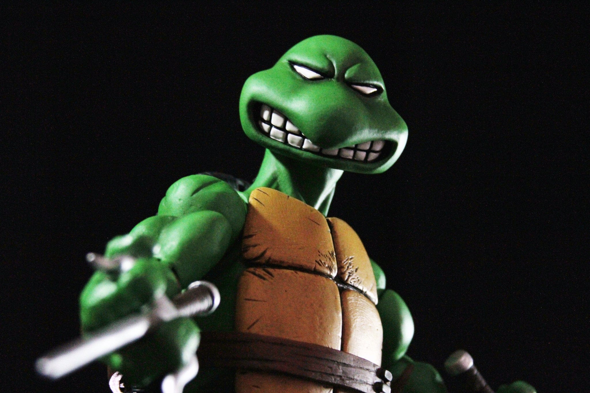 Raphael 1/6 Scale Collectible Figure Exclusive - Image 17