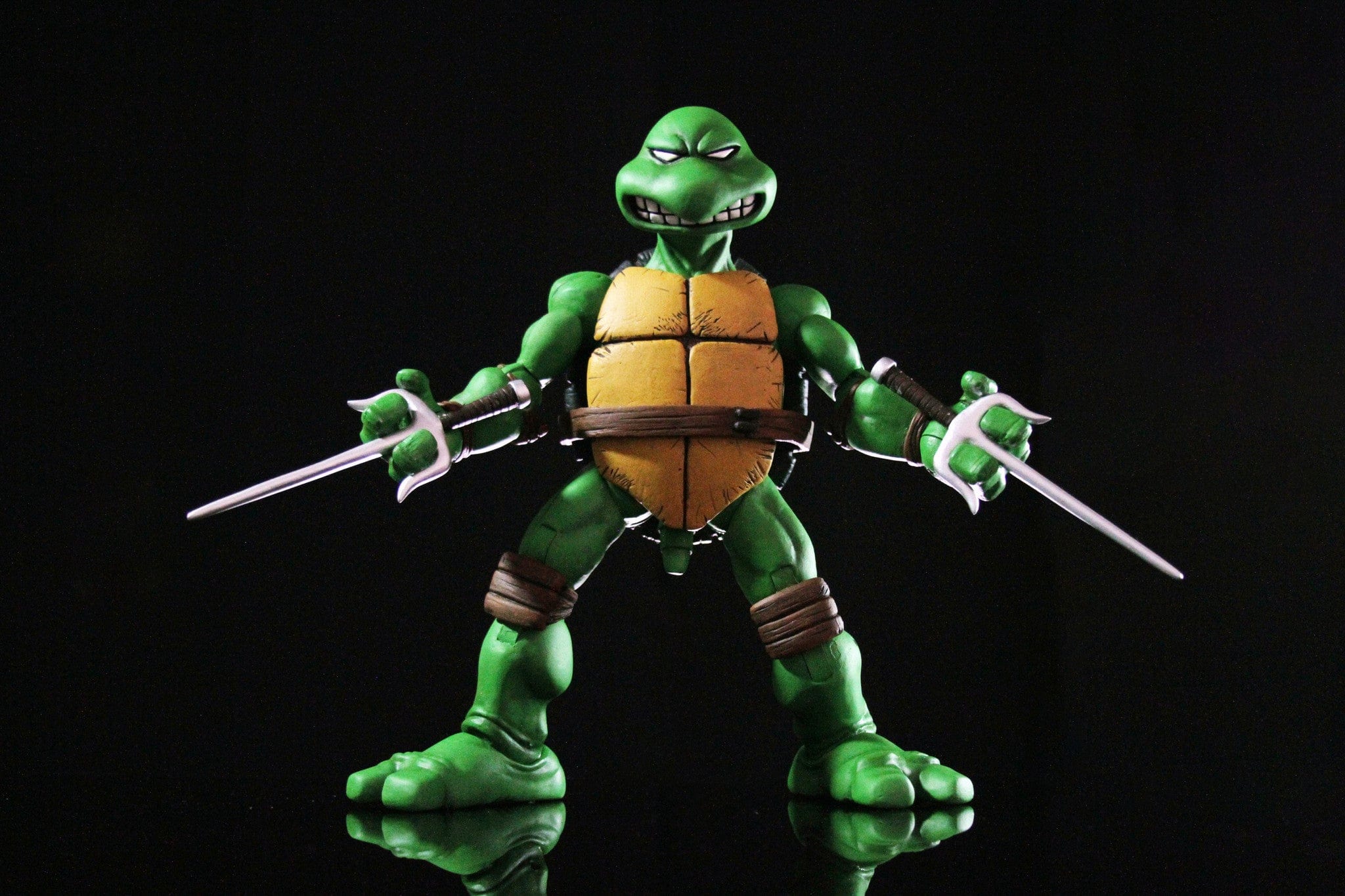 Raphael 1/6 Scale Collectible Figure Exclusive - Image 19