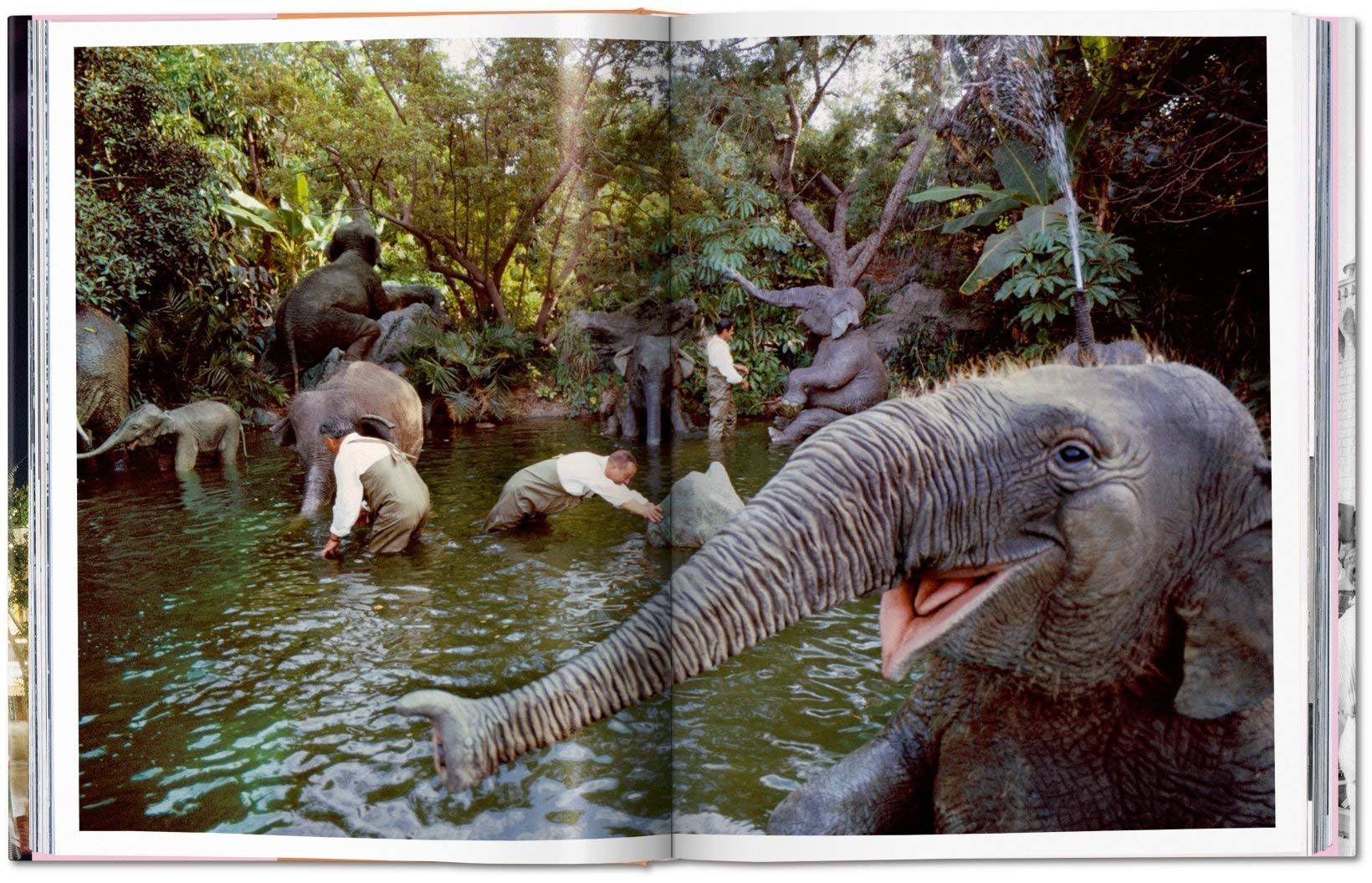 Taschen Welcome to Disneyland - Image 8